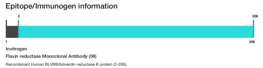 Flavin reductase Monoclonal Antibody (08)