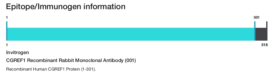 CGREF1 Recombinant Rabbit Monoclonal Antibody (001)