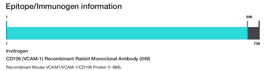 CD106 (VCAM-1) Recombinant Rabbit Monoclonal Antibody (049)