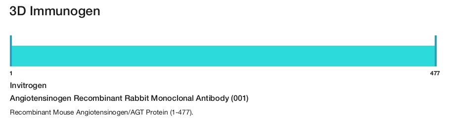 Angiotensinogen Recombinant Rabbit Monoclonal Antibody (001)