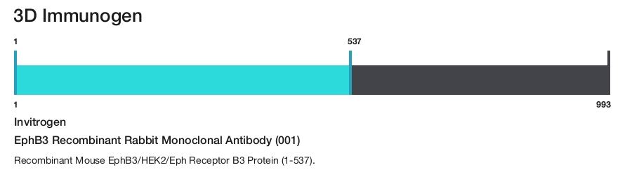EphB3 Recombinant Rabbit Monoclonal Antibody (001)