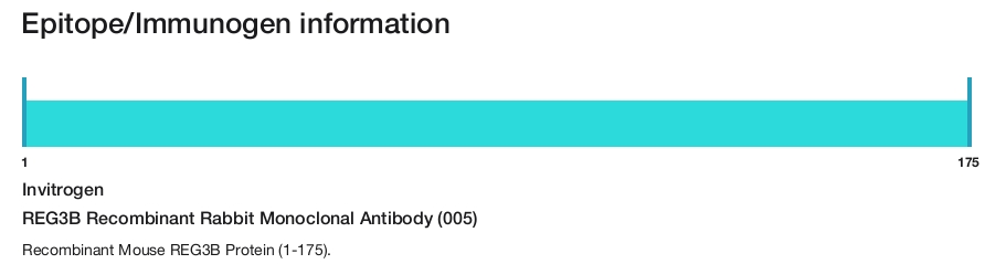 REG3B Recombinant Rabbit Monoclonal Antibody (005)