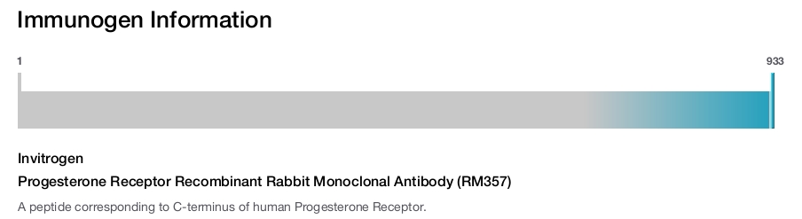 Progesterone Receptor Recombinant Rabbit Monoclonal Antibody (RM357)