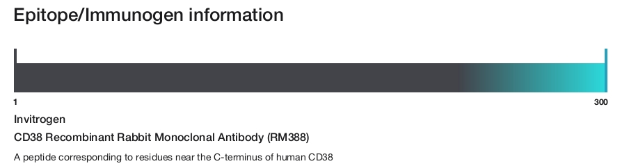 CD38 Recombinant Rabbit Monoclonal Antibody (RM388)