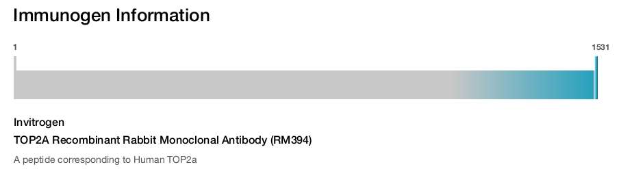 TOP2A Recombinant Rabbit Monoclonal Antibody (RM394)