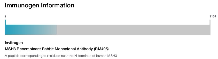 MSH3 Recombinant Rabbit Monoclonal Antibody (RM405)