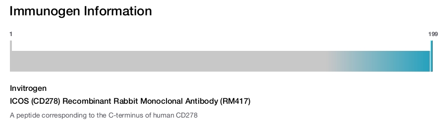 ICOS (CD278) Recombinant Rabbit Monoclonal Antibody (RM417)