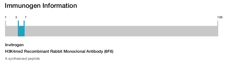 H3K4me2 Recombinant Rabbit Monoclonal Antibody (6F6)