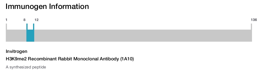 H3K9me2 Recombinant Rabbit Monoclonal Antibody (1A10)