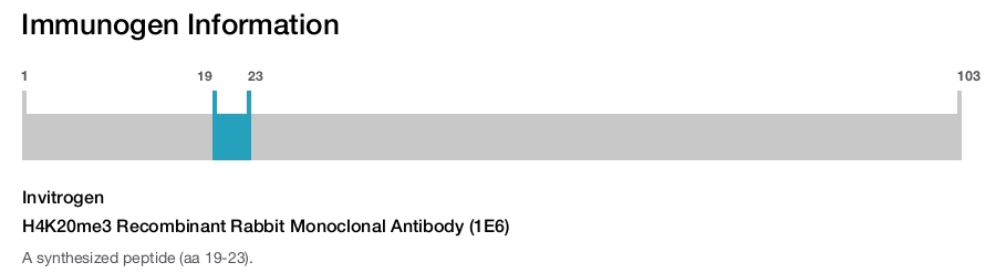 H4K20me3 Recombinant Rabbit Monoclonal Antibody (1E6)