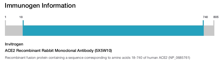ACE2 Recombinant Rabbit Monoclonal Antibody (5X5W10)