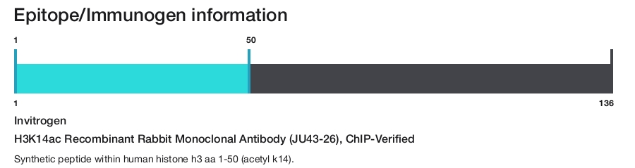 H3K14ac Recombinant Rabbit Monoclonal Antibody (JU43-26), ChIP-Verified