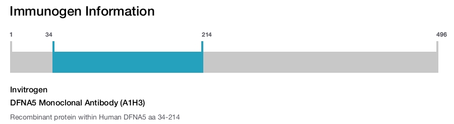 DFNA5 Monoclonal Antibody (A1H3)