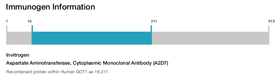 Aspartate Aminotransferase, Cytoplasmic Monoclonal Antibody (A2D7)
