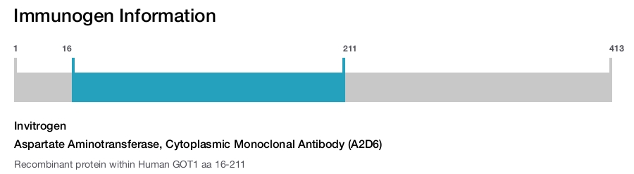 Aspartate Aminotransferase, Cytoplasmic Monoclonal Antibody (A2D6)