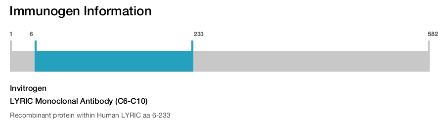LYRIC Monoclonal Antibody (C6-C10)