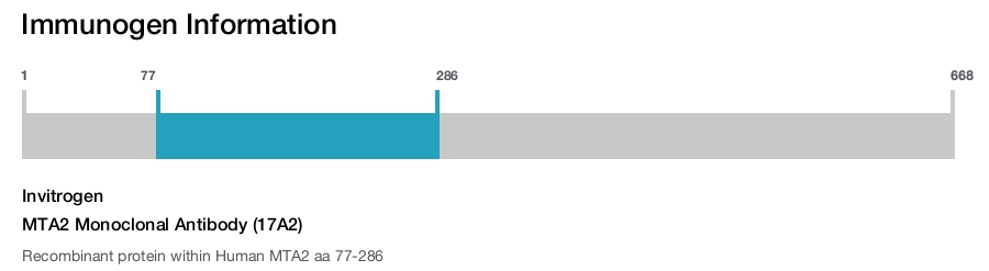 MTA2 Monoclonal Antibody (17A2)
