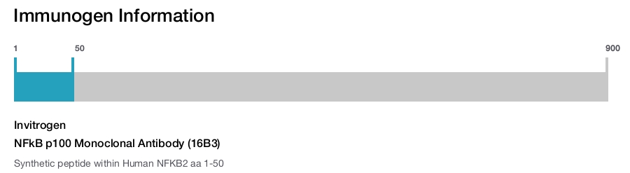 NFkB p100 Monoclonal Antibody (16B3)