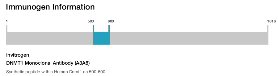 DNMT1 Monoclonal Antibody (A3A8)