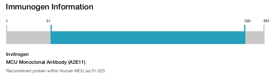 MCU Monoclonal Antibody (A2E11)