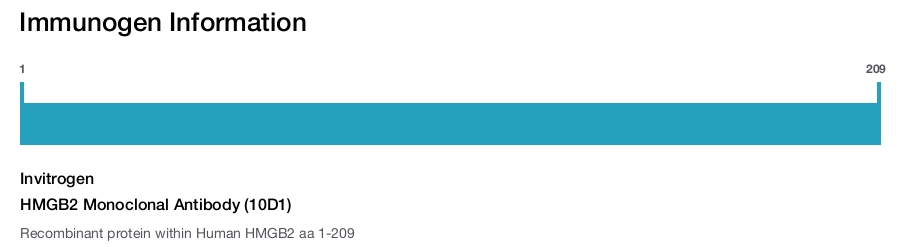 HMGB2 Monoclonal Antibody (10D1)