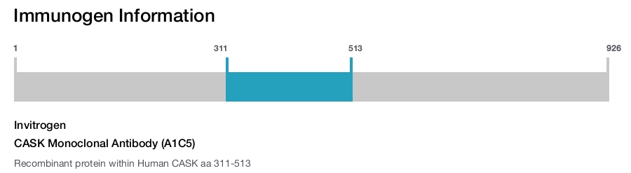 CASK Monoclonal Antibody (A1C5)