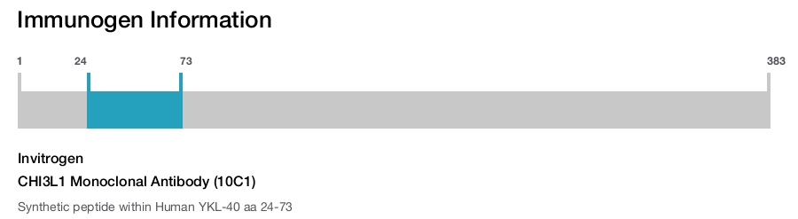 CHI3L1 Monoclonal Antibody (10C1)