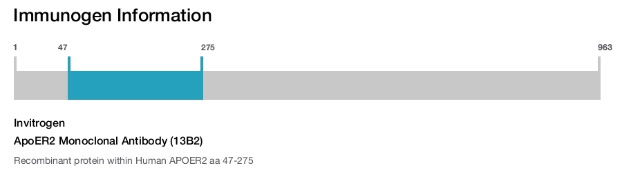 ApoER2 Monoclonal Antibody (13B2)