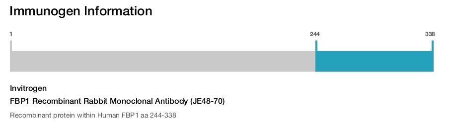 FBP1 Recombinant Rabbit Monoclonal Antibody (JE48-70)