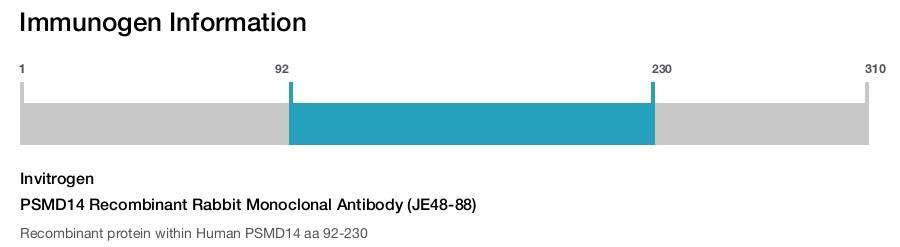 PSMD14 Recombinant Rabbit Monoclonal Antibody (JE48-88)