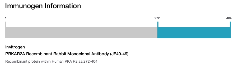 PRKAR2A Recombinant Rabbit Monoclonal Antibody (JE49-49)