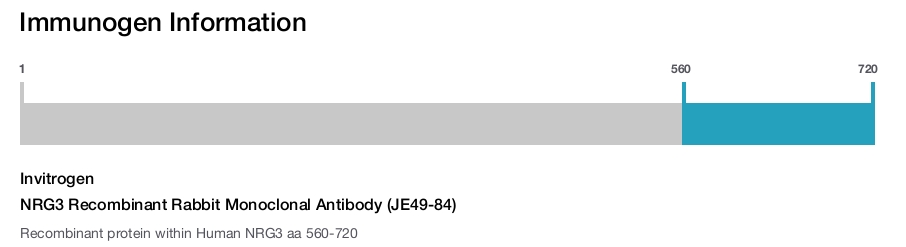 NRG3 Recombinant Rabbit Monoclonal Antibody (JE49-84)