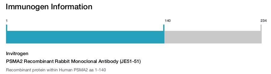 PSMA2 Recombinant Rabbit Monoclonal Antibody (JE51-51)