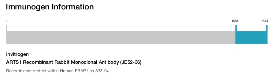 ARTS1 Recombinant Rabbit Monoclonal Antibody (JE52-36)