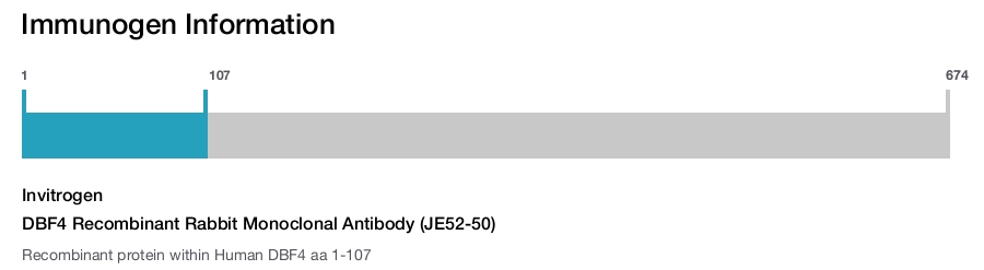 DBF4 Recombinant Rabbit Monoclonal Antibody (JE52-50)
