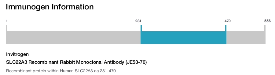SLC22A3 Recombinant Rabbit Monoclonal Antibody (JE53-70)