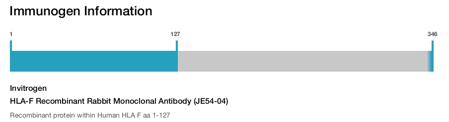 HLA-F Recombinant Rabbit Monoclonal Antibody (JE54-04)