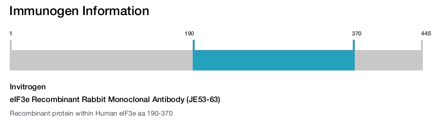 eIF3e Recombinant Rabbit Monoclonal Antibody (JE53-63)