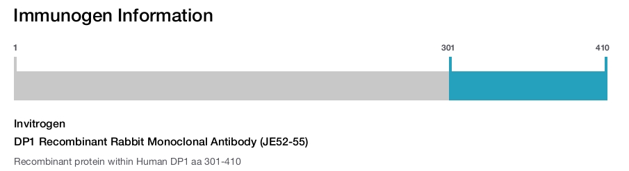 DP1 Recombinant Rabbit Monoclonal Antibody (JE52-55)