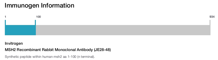 MSH2 Recombinant Rabbit Monoclonal Antibody (JE28-48)