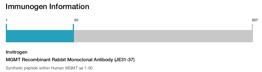 MGMT Recombinant Rabbit Monoclonal Antibody (JE31-37)
