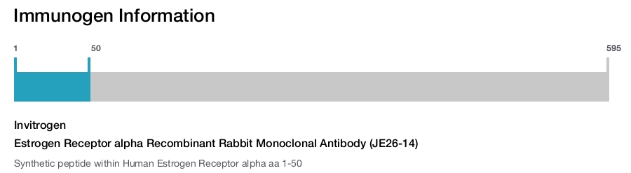 Estrogen Receptor alpha Recombinant Rabbit Monoclonal Antibody (JE26-14)