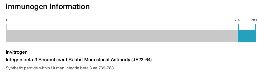 Integrin beta 3 Recombinant Rabbit Monoclonal Antibody (JE22-64)
