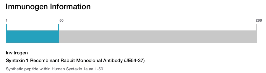 Syntaxin 1 Recombinant Rabbit Monoclonal Antibody (JE54-37)