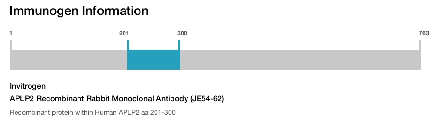 APLP2 Recombinant Rabbit Monoclonal Antibody (JE54-62)