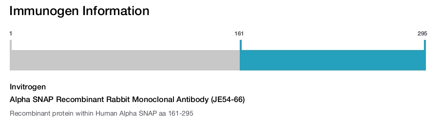 Alpha SNAP Recombinant Rabbit Monoclonal Antibody (JE54-66)