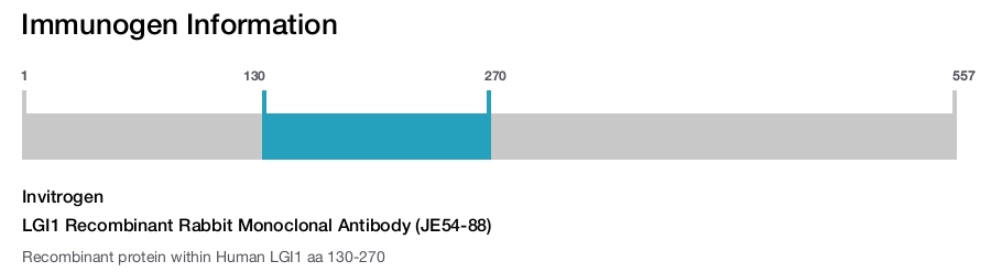LGI1 Recombinant Rabbit Monoclonal Antibody (JE54-88)