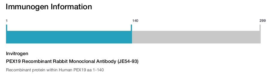 PEX19 Recombinant Rabbit Monoclonal Antibody (JE54-93)