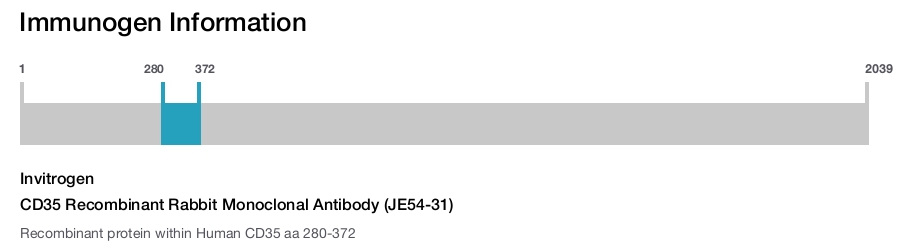 CD35 Recombinant Rabbit Monoclonal Antibody (JE54-31)
