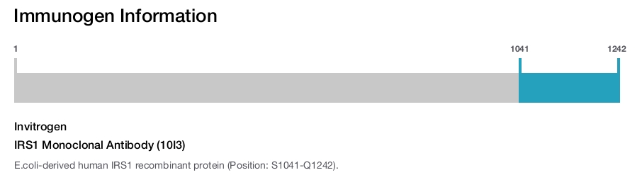 IRS1 Monoclonal Antibody (10I3)